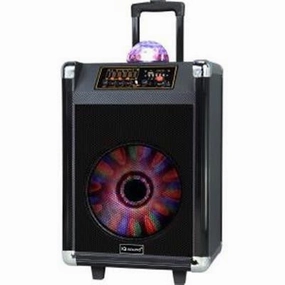 12" Rechrgbl Bluetooth DJ Speaker Blk