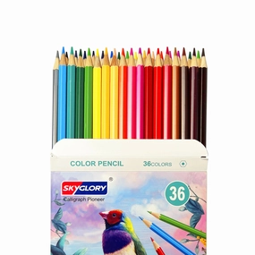 36 Pcs Coloring Pencils - SkyGlory