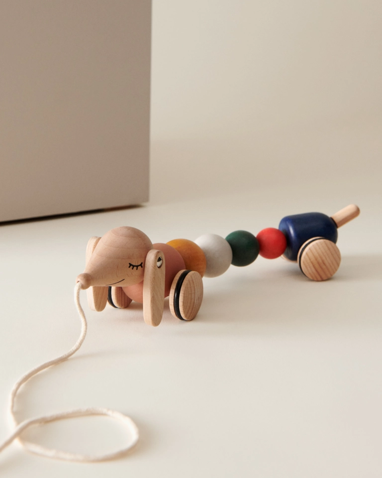 Barthes pull-along toy dog