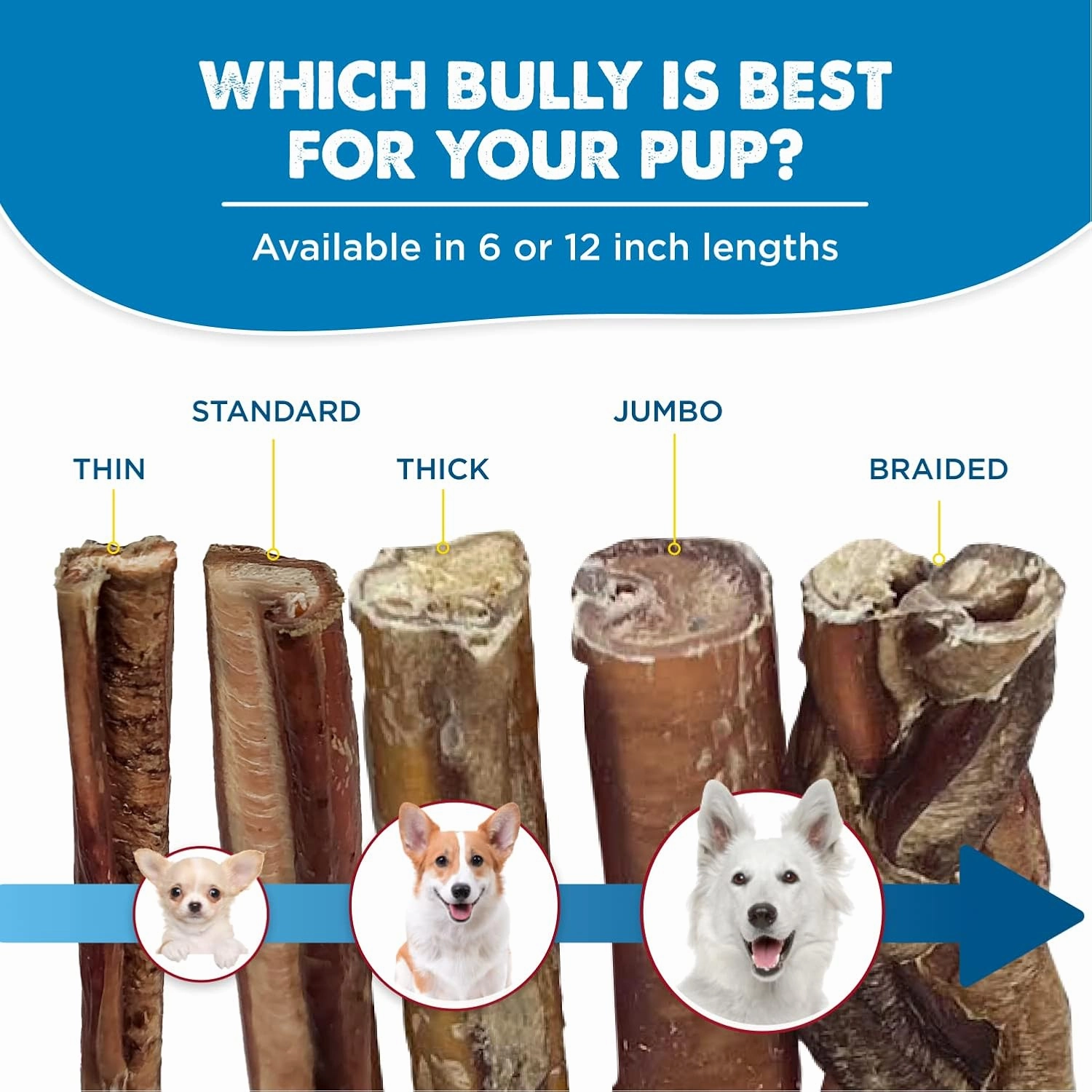 Best Bully Sticks 6 Inch Bully Sticks for Dogs - 15 Count (Pack of 1) - Natural, Easily Digestible, 100% Grass-Fed Beef, Grain and Rawhide Free