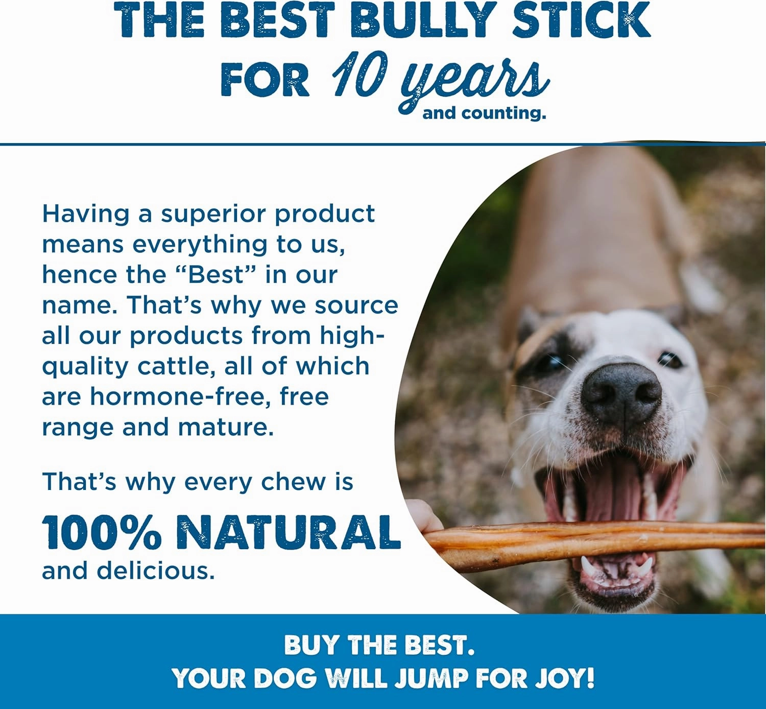 Best Bully Sticks 6 Inch Bully Sticks for Dogs - 15 Count (Pack of 1) - Natural, Easily Digestible, 100% Grass-Fed Beef, Grain and Rawhide Free