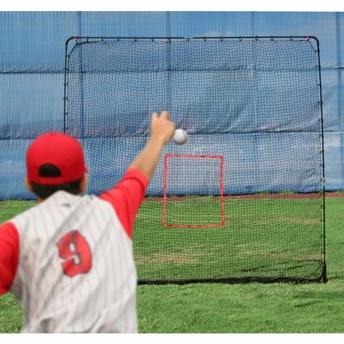 Big League Drop Toss & Big Play Net