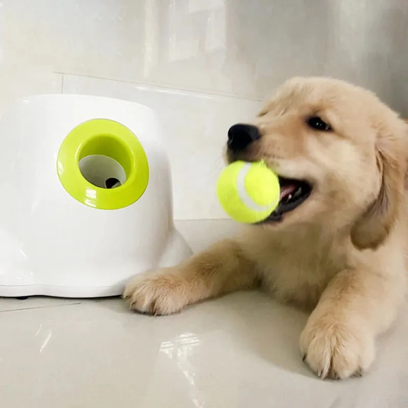 Catapult Ball Launcher for Pets