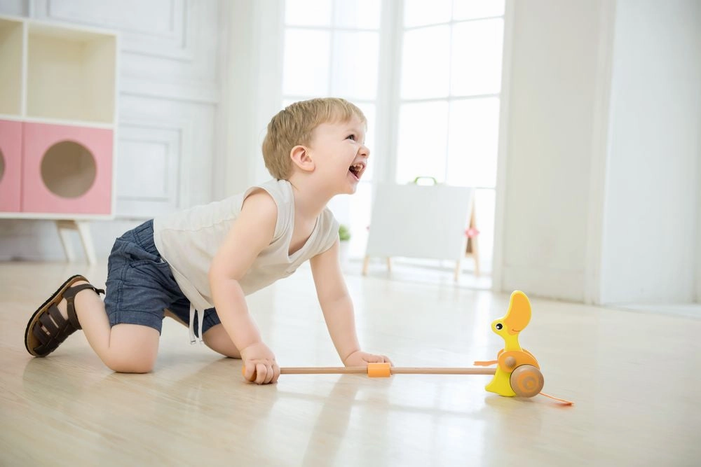 Classic World Wooden Push Duck
