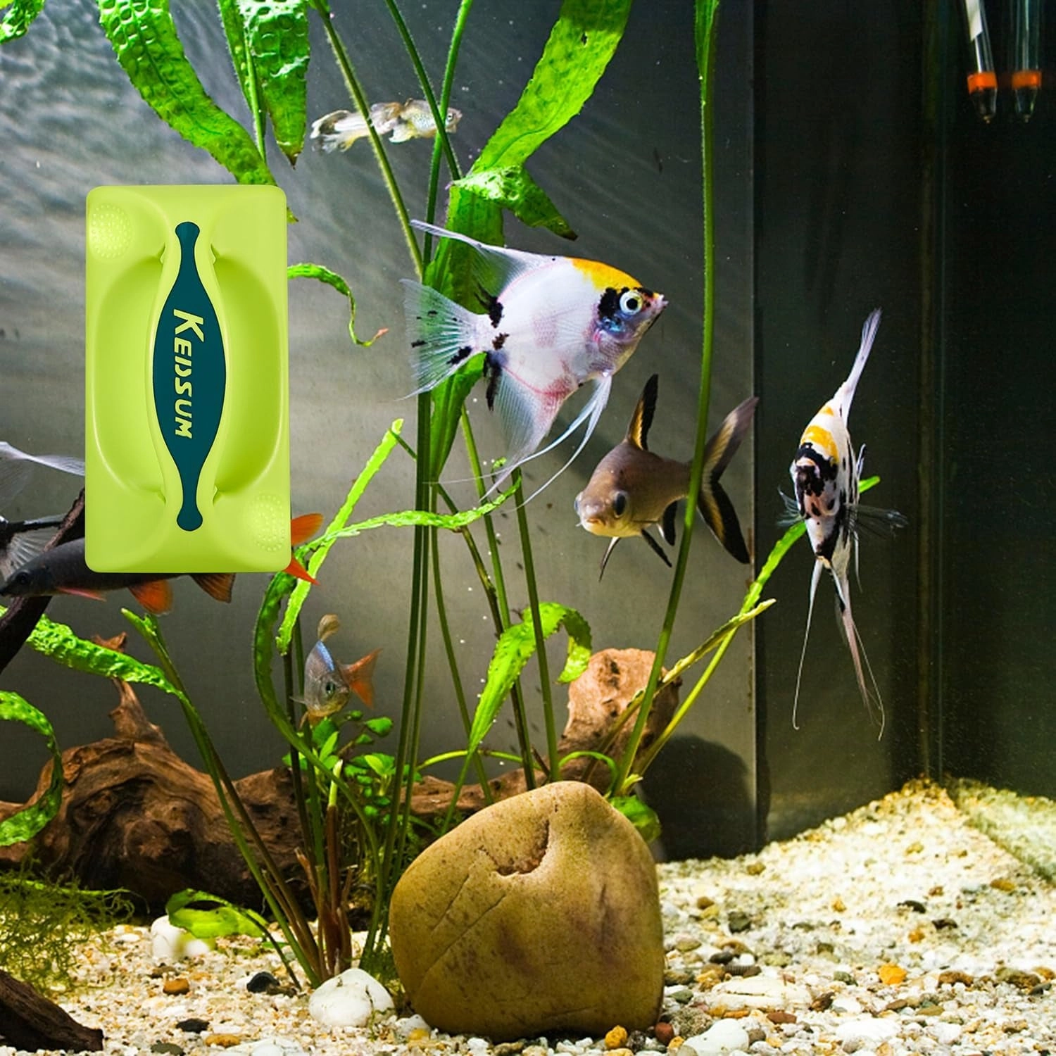 Cleaning Supplies - XL Magnetic Aquarium Glass Cleaner Brush with Handle
