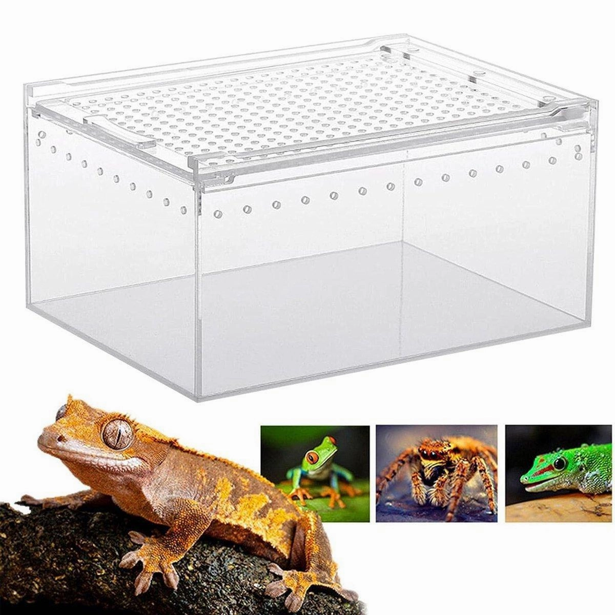 Clear Pet Box Slide Lid Reptile Breeding Habitat Panoramic View Terrarium