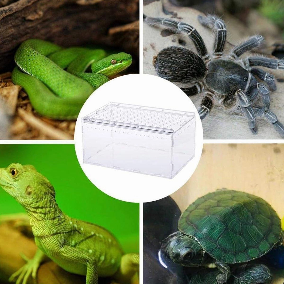Clear Pet Box Slide Lid Reptile Breeding Habitat Panoramic View Terrarium