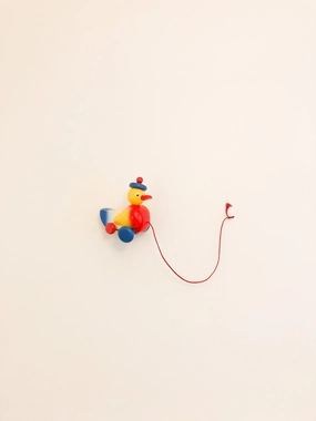 Duck Pull Toy