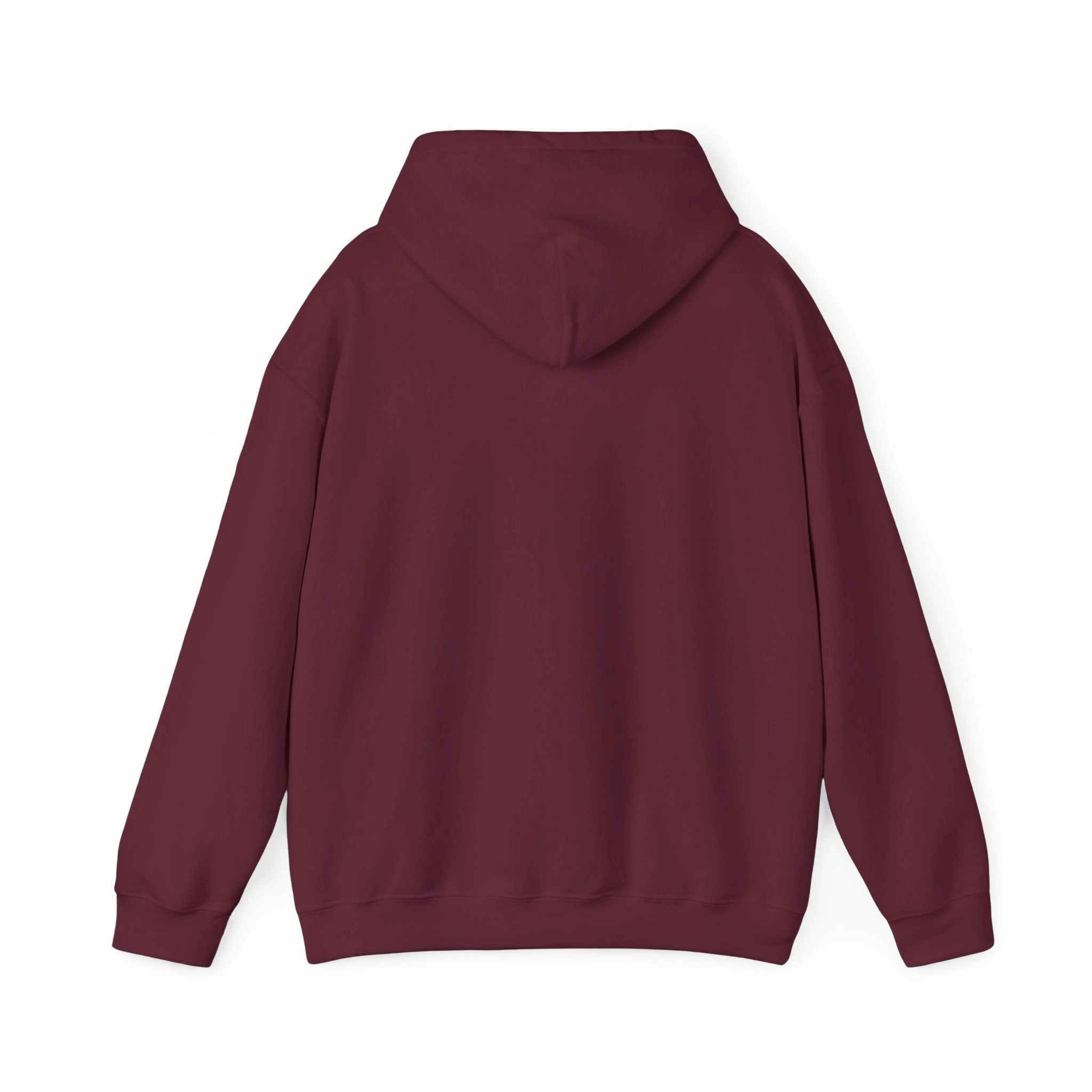 DUSTOFF  Blackhawk Heavy Blend Hooded Sweatshirt