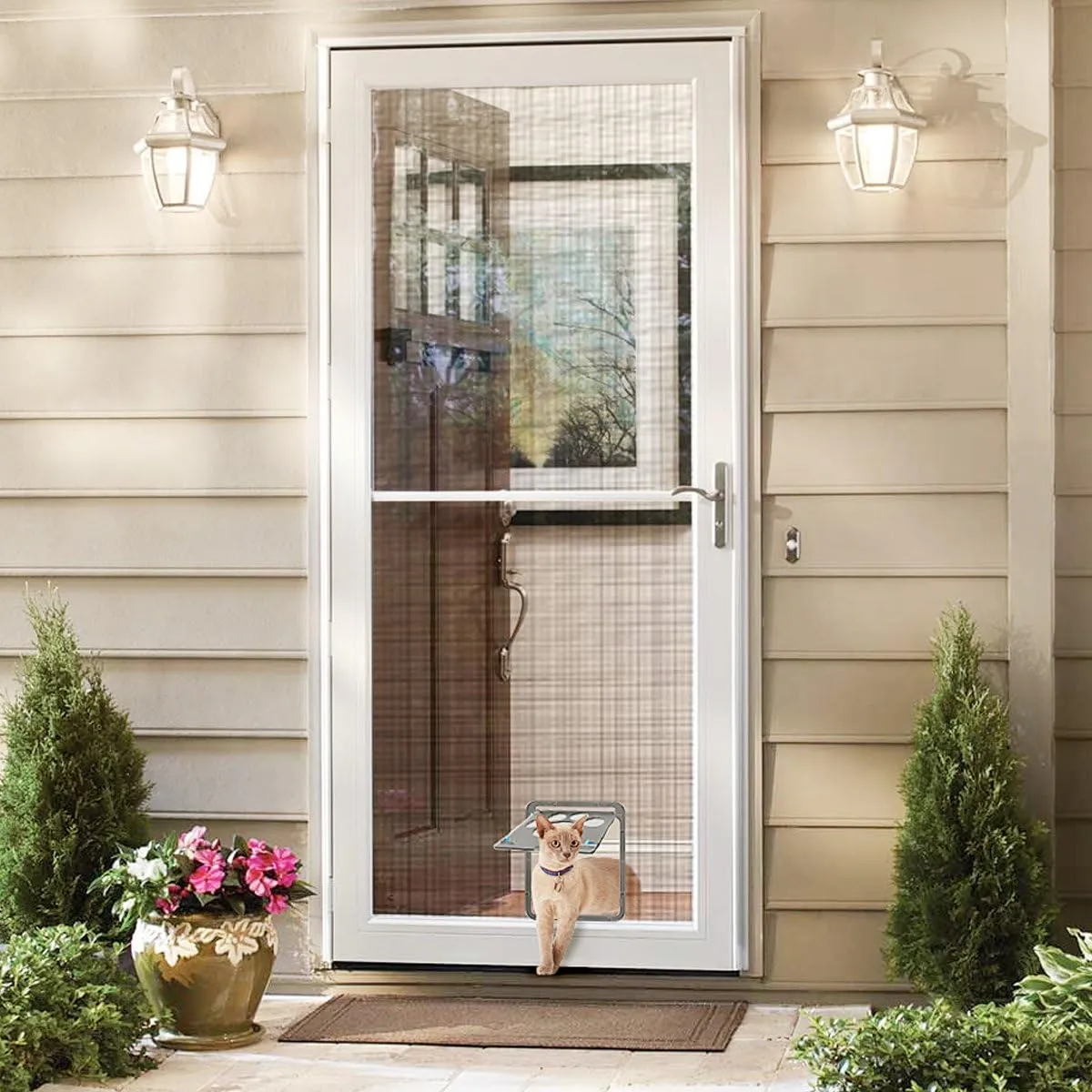 Enjoying Pet Screen Door 8"×10.2" Inner Door Size, Cat Doors with Replacement Magnetic Flap Lockable Doggy Screen Door, Black