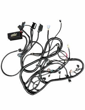 HPI LS3 LS2 6.2L STANDALONE Harness 4L60E 58X Drive by Wire DBW Truck Corvette Pedal