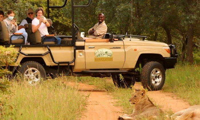 Limpopo: 2-Night Stay for Two including Meals, and 2 x Game Drives at Honeyguide Ranger Camp
