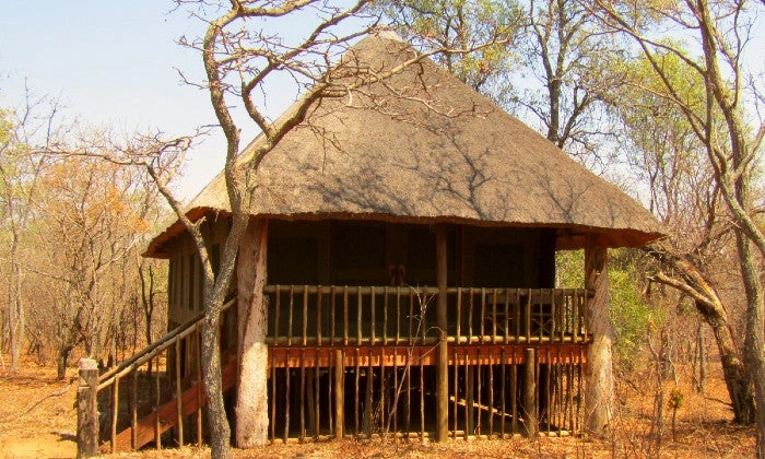 Limpopo: 2-Night Stay for Two including Meals, and 2 x Game Drives at Honeyguide Ranger Camp