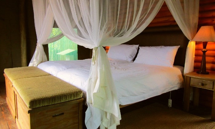 Limpopo: 2-Night Stay for Two including Meals, and 2 x Game Drives at Honeyguide Ranger Camp