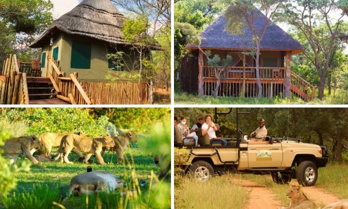 Limpopo: 2-Night Stay for Two including Meals, and 2 x Game Drives at Honeyguide Ranger Camp