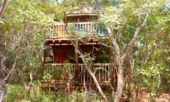 Limpopo: 2-Night Stay for Two including Meals, and 2 x Game Drives at Honeyguide Ranger Camp