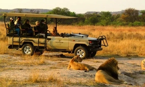 Limpopo: 2-Night Stay for Two including Meals, and 2 x Game Drives at Honeyguide Ranger Camp