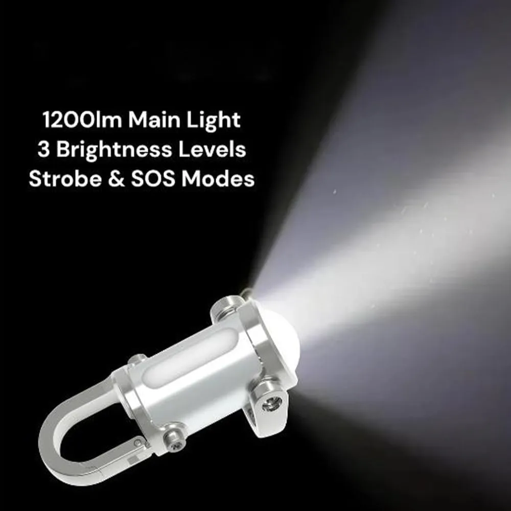 Lumilink Mini Torch - High Gloss Waterproof Portable Flashlight Keychain, Emergency Equipment (Silver)