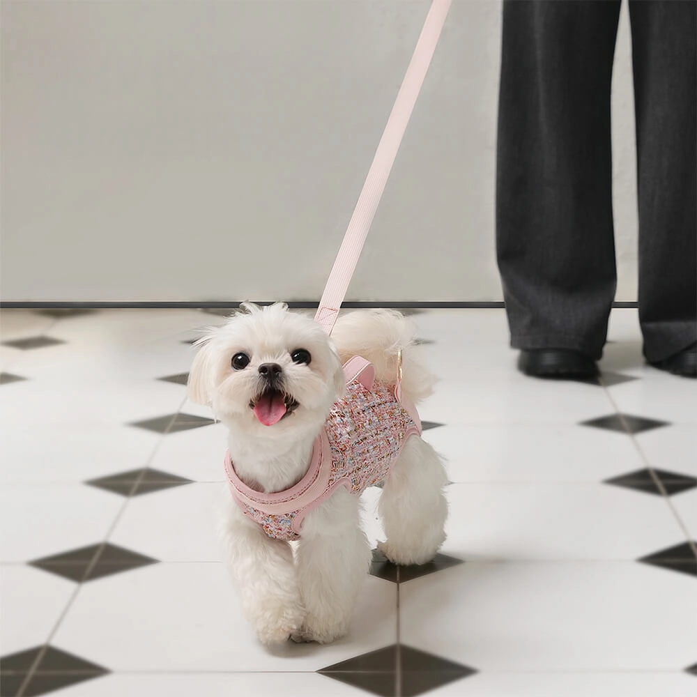 Multifunctional Carrier & Walk Vest Dog Harness Backpack for Small Dog