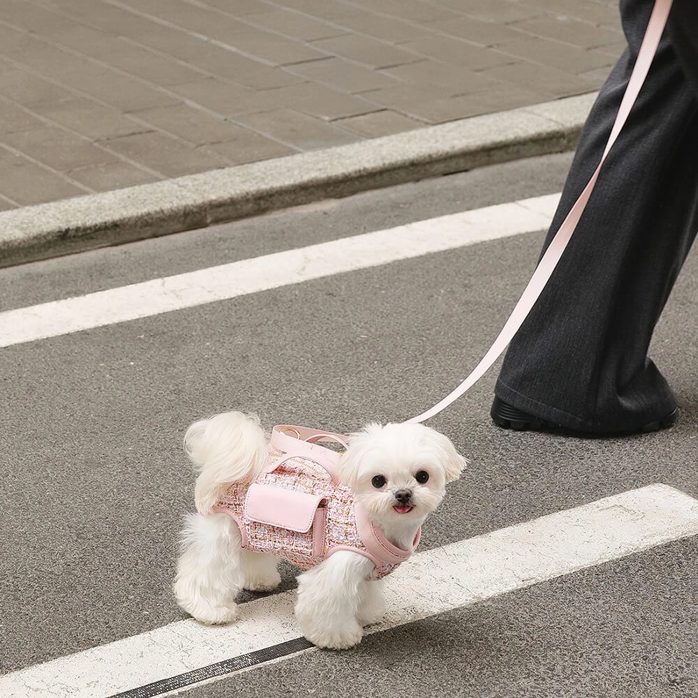 Multifunctional Carrier & Walk Vest Dog Harness Backpack for Small Dog