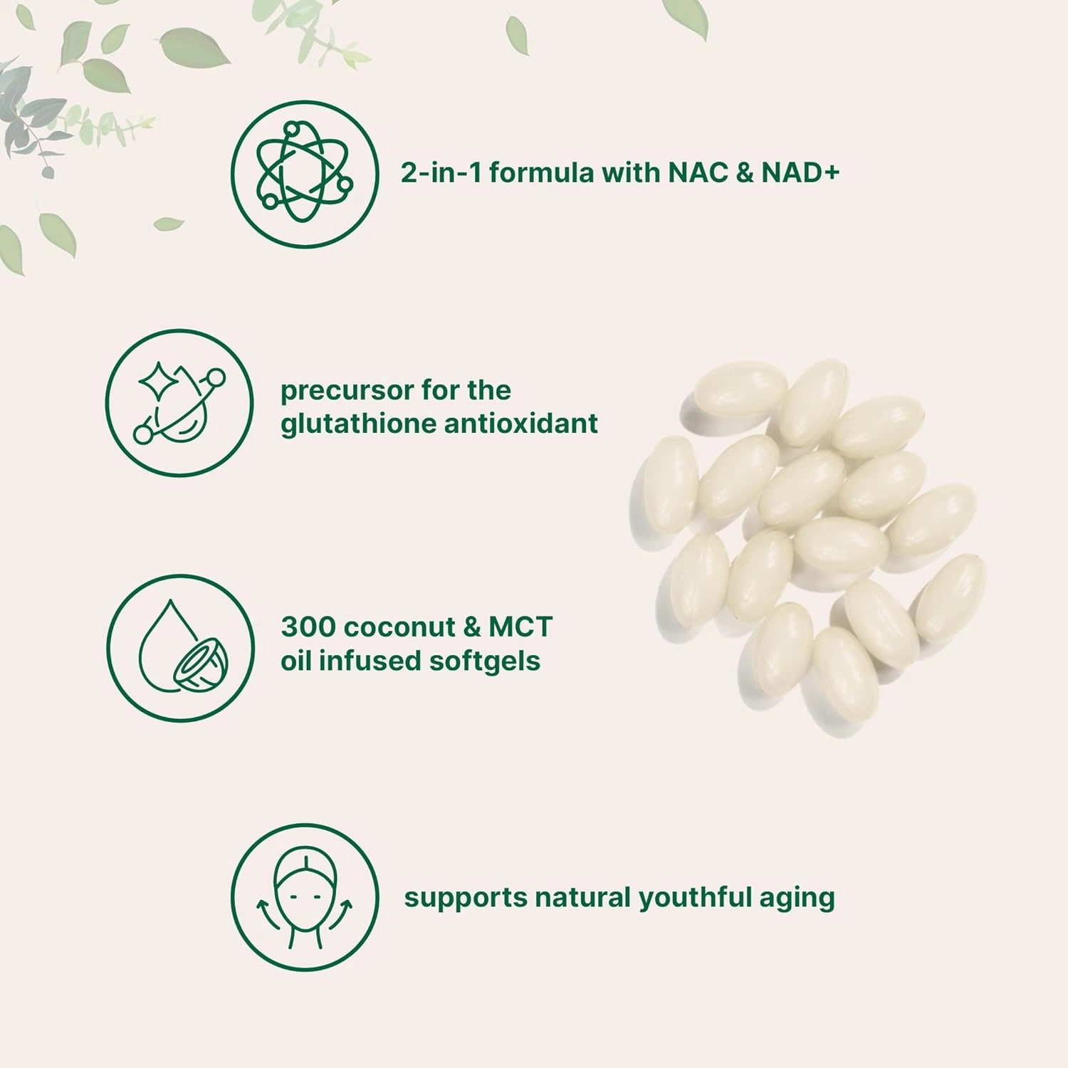 NAC 600mg with NAD , 300 Coconut MCT Oil Softgels | N Acetyl L Cysteine & Nicotinamide Forms for Better Absorption | Antioxidant Supplement | Promotes Energy & Youthful Aging | Non-GMO