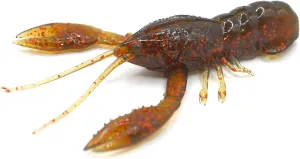 NIKKO Craw 3.2" - Midwest Craw