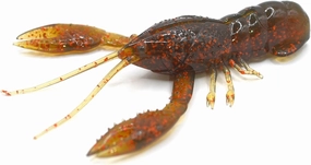NIKKO Craw 3.2" - Midwest Craw