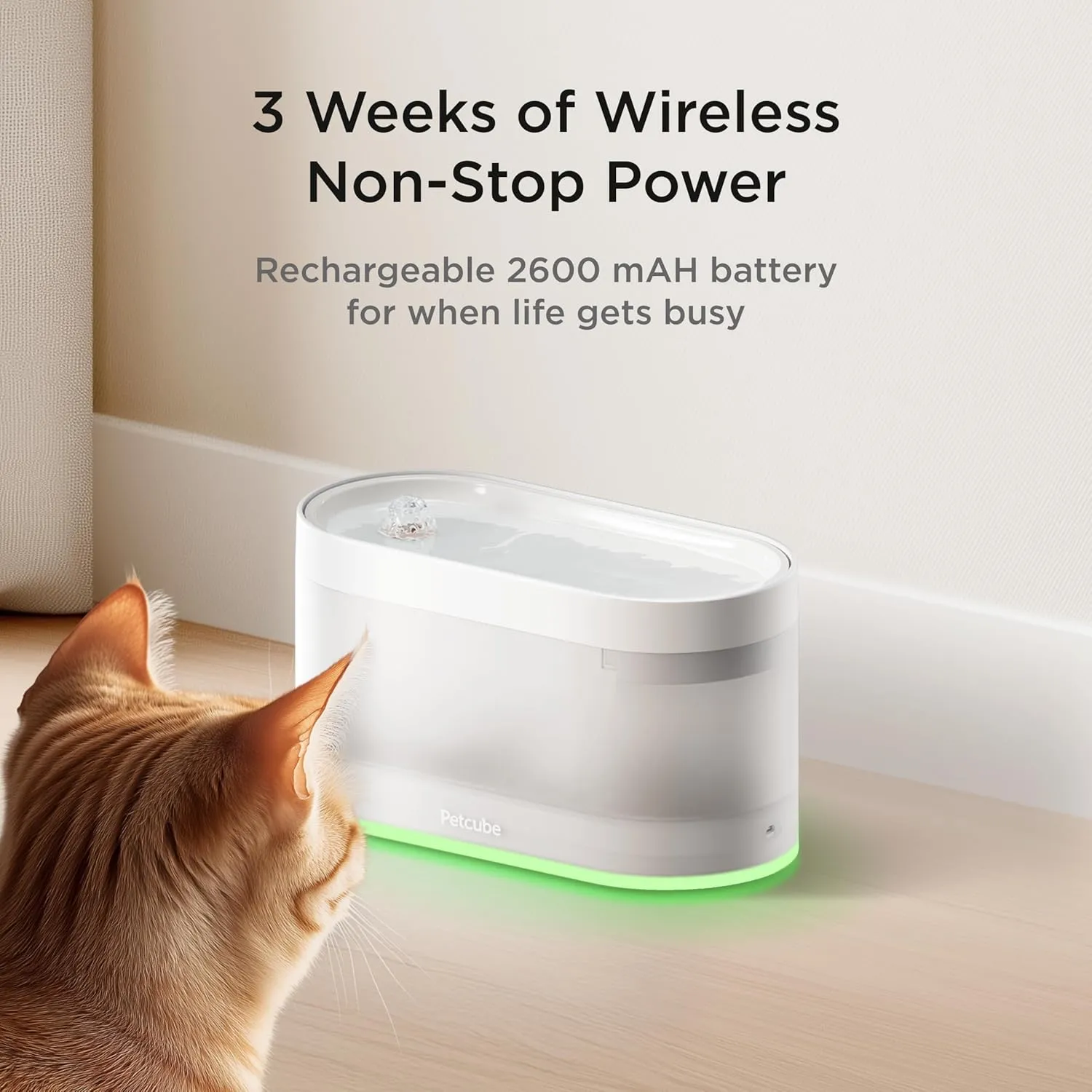 Petcube Pet Water Fountain | Automatic Wireless Water Fountain for Cats and Dogs with Ceramic Bowl, Easy to Clean, 4-Layer Filtration, in-App Filter Control, LED Light, Quiet Pump, Battery Operated