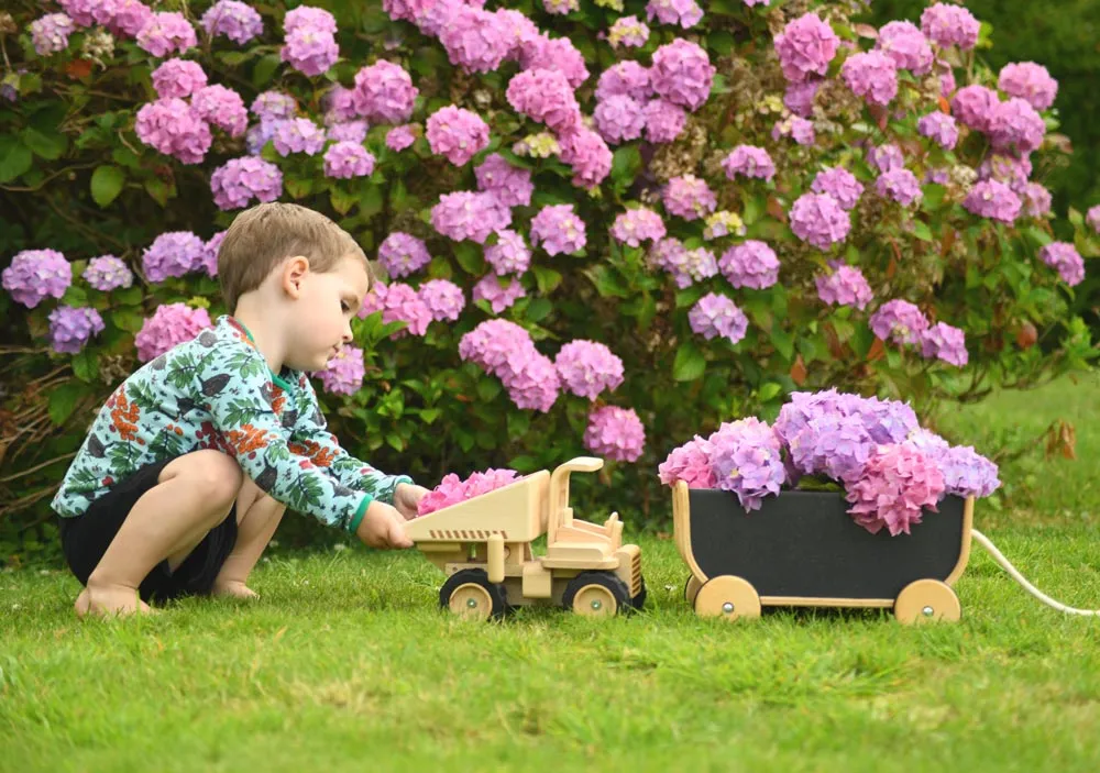 PlanToys Black Wagon