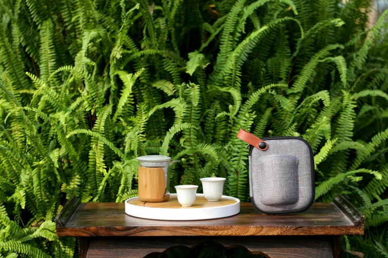 Portable Gongfu Tea Set for Travelling 2 Color Variations