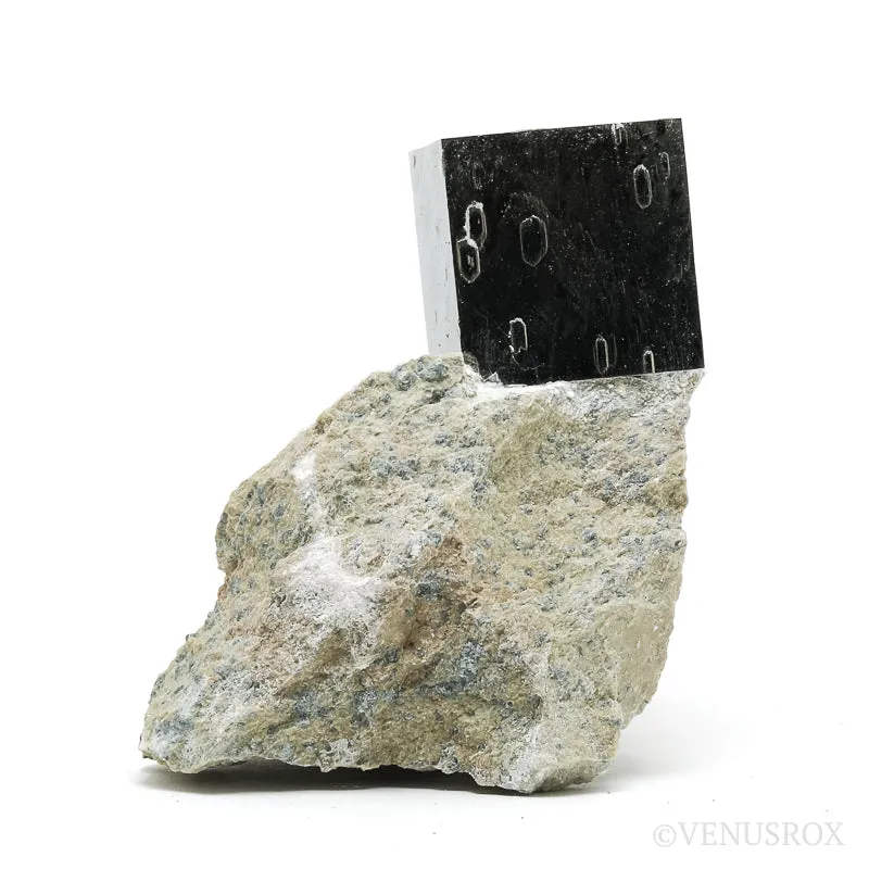 PYRITE CUBE IN MATRIX