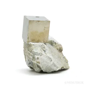 PYRITE CUBE IN MATRIX
