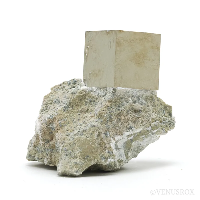 PYRITE CUBE IN MATRIX