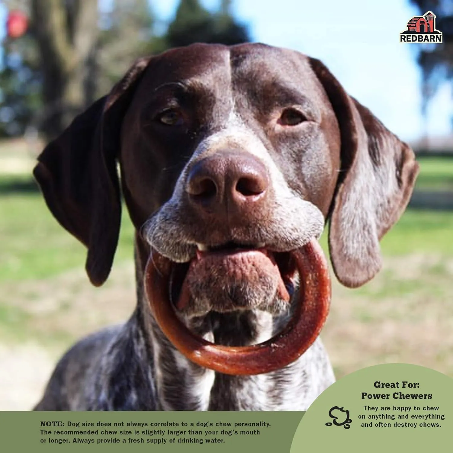 Redbarn Pet Products All-Natural 4" Bully Stick Rings for Dogs - Premium Grain-Free & Rawhide-Free Single Ingredient Long Lasting Low Odor Dental Treat for Chewers - 3 Count