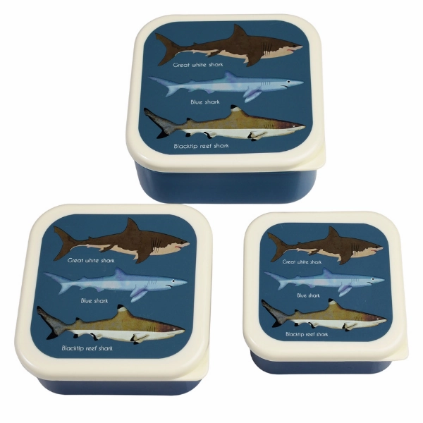 Rex London Sharks Bundle
