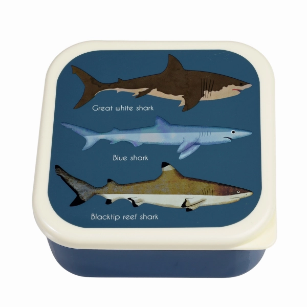 Rex London Sharks Bundle