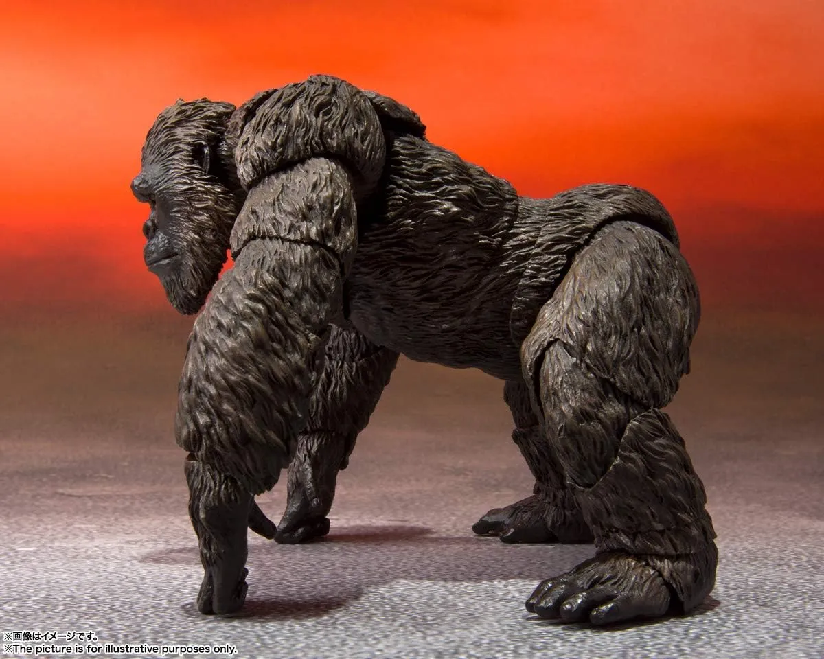 TAMASHII NATIONS - Godzilla VS. Kong - Kong (2021), Bandai Spirits S.H.MonsterArts Action Figure