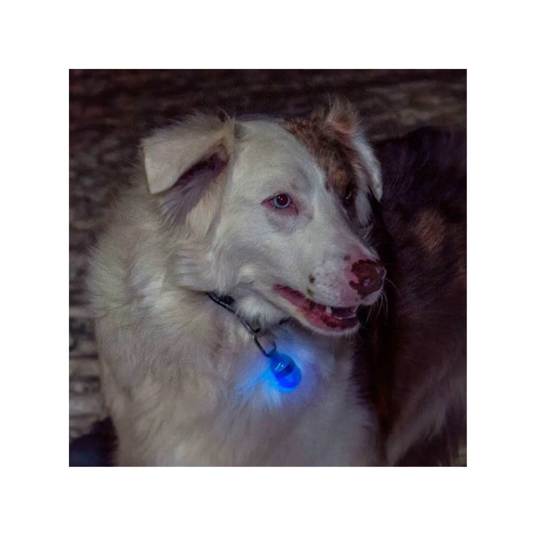 Terrain D.O.G. Safety Light