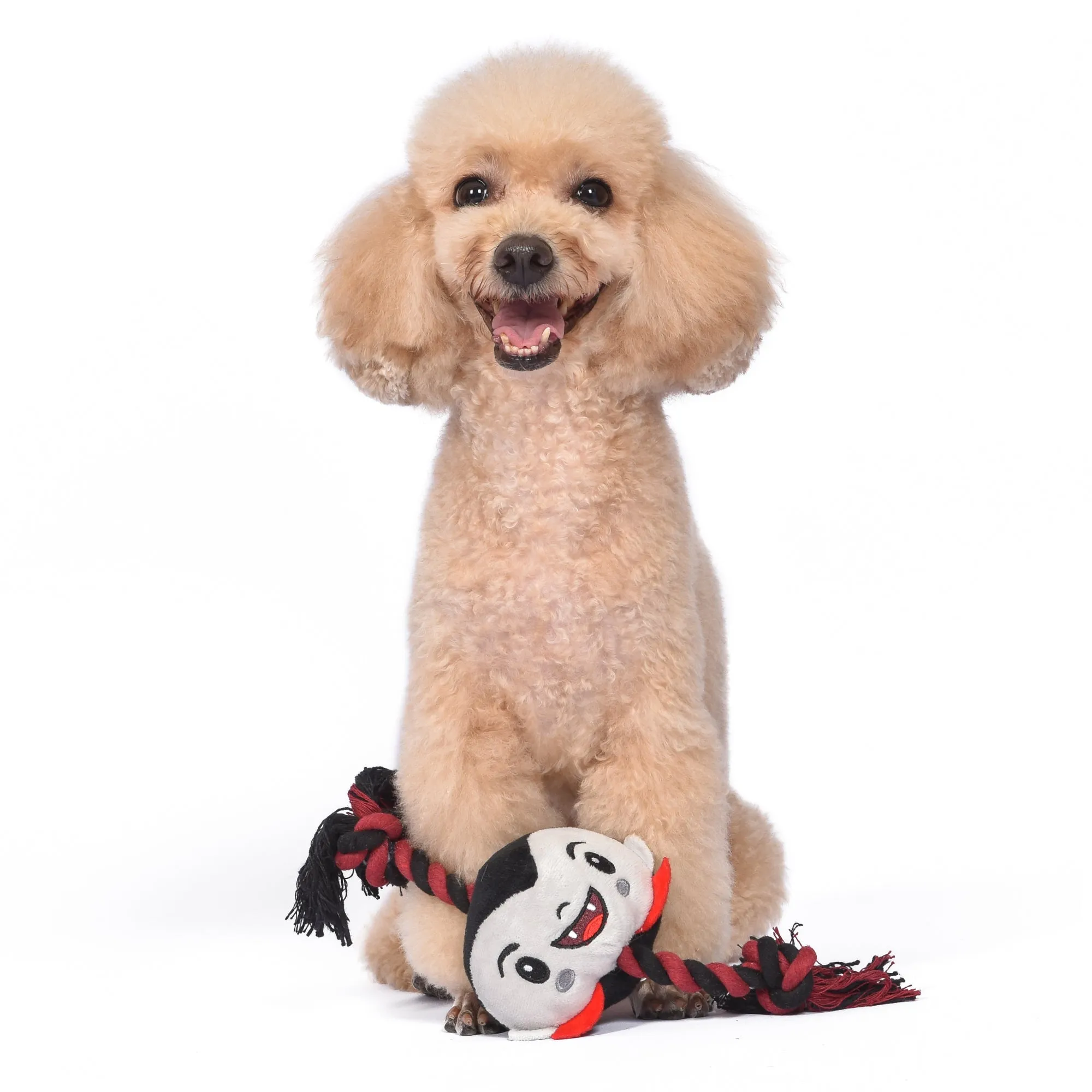Universal Little Monsters: 12" Dracula Rope Pet Toy