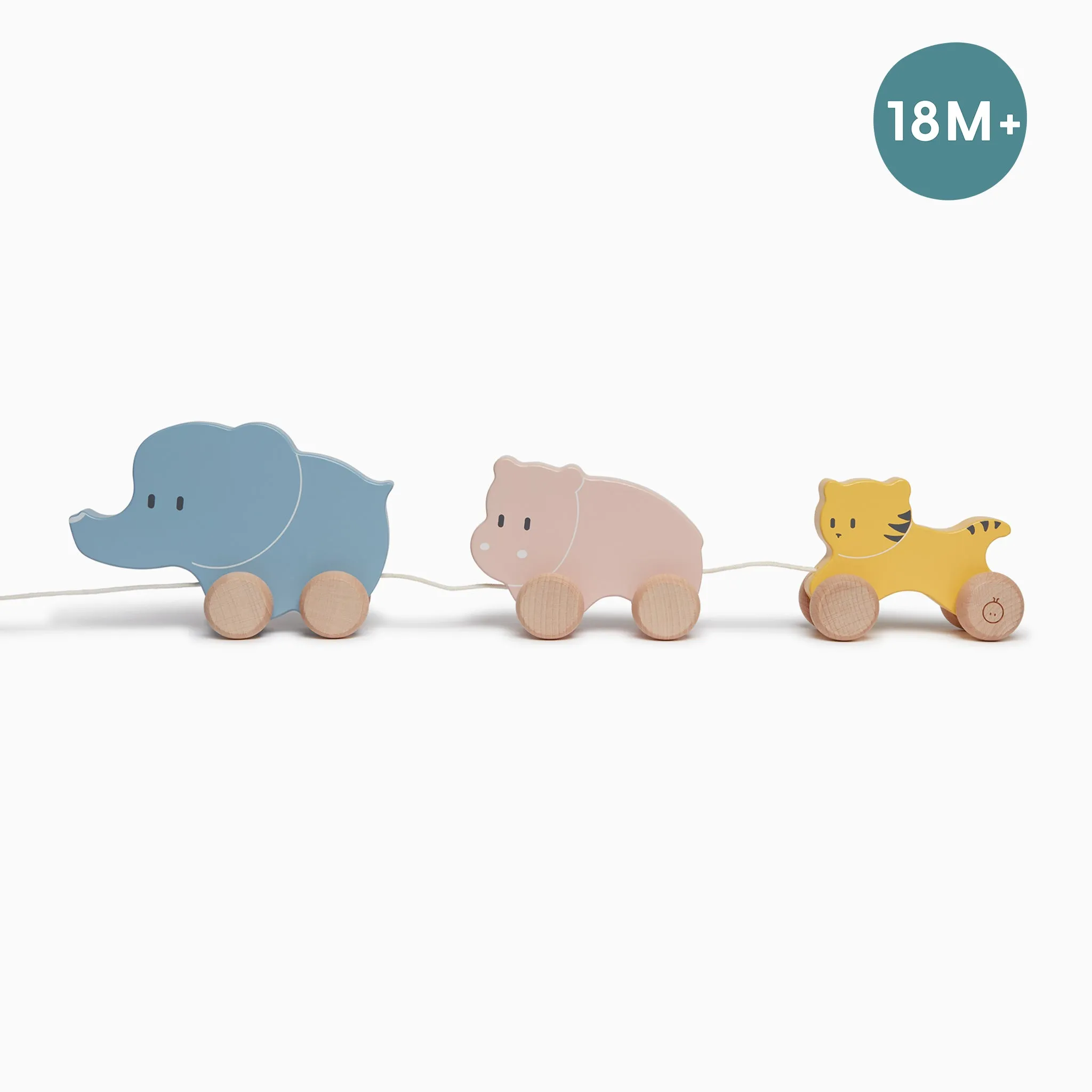 Wooden Animal Pull Along Toy