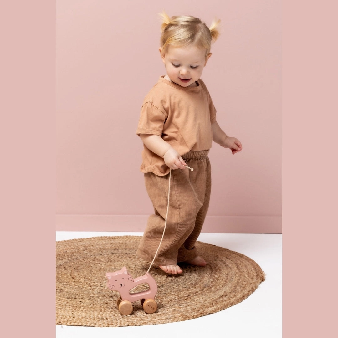 Wooden pull along toy - Mrs. Cat